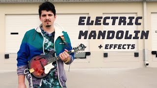 BO TV ⚡️ Electric Mandolin  FX Pedals Fender FM62 SCE [upl. by Ahsirk]