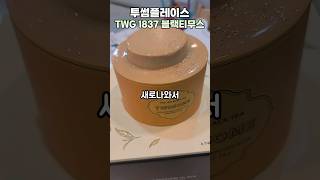 밀크티 덕후들 주목 투썸 케이크 신메뉴 TWG 1837 블랙티 무스 밴쯔 투썸플레이스 TWG1837블랙티무스 [upl. by Ozen]