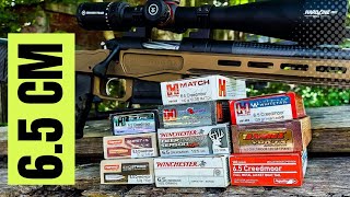 Ultimate 65 Creedmoor Ammo Test Bergara MGLite [upl. by Tomasz]