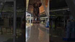 Qatar airport is more than just a gateway its an experience Travel Vlog shorts travel trending [upl. by Elizabet]