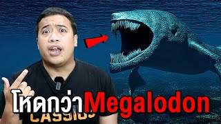 3 สัตว์ที่น่ากลัวมากกว่า Megalodon [upl. by Adekram]