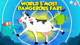 Worlds Most Dangerous Farts  Animals With Toxic Farts  The Dr Binocs Show  Peekaboo Kidz [upl. by Jemena]