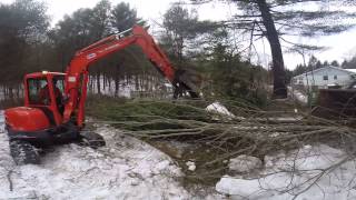 Morbark Wood Chipper 2400XL Eating Trees [upl. by Iah865]