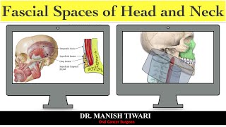 Odontogenic space infection part  1 fascial spaces of head and neck [upl. by Tama]