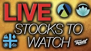 Big News Update Aurora CannabisACB NamasteN AphriaAPHA amp IGCIGCC Stock Markets Live 2019 [upl. by Crespo922]