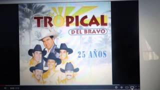 TROPICAL DEL BRAVO MI ALEGRE SON [upl. by Stillas]