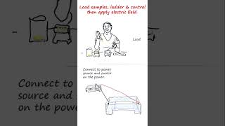 Agarose gel electrophoresis of DNA in brief  genetics biology biotechnology [upl. by Colas572]