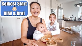 Babys 1 Essen 👶🏻 Beikost Start mit BLW amp Brei Selber kochen  Mama VLOG  Mamiseelen [upl. by Orva]