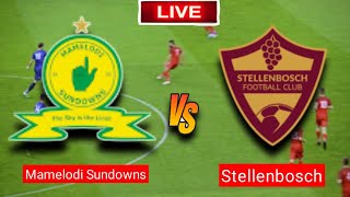 Stellenbosch vs Mamelodi Sundowns  8 Cup  Fifa Live Match Score Today [upl. by Eisnil]