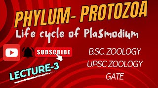 Plasmodium  Life cycle of Malarial Parasite  Notes Pdf in Description  BSc Zoology  Biology [upl. by Hairas]