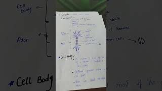 From Dendrites to Axons The Complete Neuron Structure BreakdownquotExplained in Hindi and urdu [upl. by Halyhs]