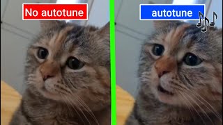 Sad Cat Meowing Original vs Autotune edit [upl. by Armstrong]