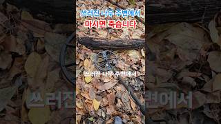 쓰러진 나무에서 마시면 죽습니다 Metal detection Adventure 금속탐지 [upl. by Wandis360]