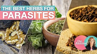 The Best Herbs for Parasites  Dr Janine [upl. by Notwen]