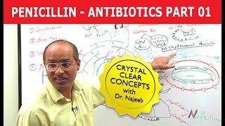 Penicillin  Antibiotics  Dr Najeeb  Part 14 [upl. by Arocal]