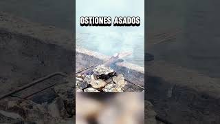 OSTIONES ASADOS ostiones shrots [upl. by Atikahc]