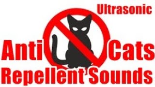 Anti Cats Repellent Sounds  Chase The Cats Away StopCats AntiCAts [upl. by Donahue638]