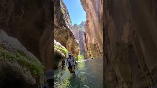 River Hike in Zion’s Spectacular Narrows zionnationalpark hikingadventure water hiking [upl. by Marlen731]