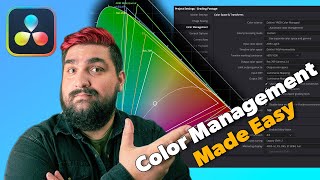 Color Management Complete Beginner Guide  Resolve Made Easy [upl. by Saffier]