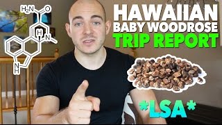 Hawaiian Baby Woodrose Trip Report LSA [upl. by Llenor]