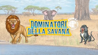 Parti alla scoperta dei Dominatori della Savana🦁 [upl. by Norag]