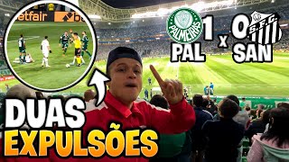 PALMEIRAS 1 x 0 SANTOS COM MUITA CONFUSÃO TEVE 2 EXPULSOS [upl. by Crean888]