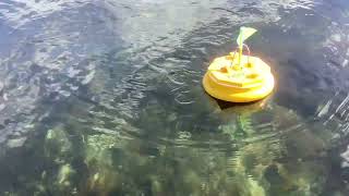 Remote control marker buoy for DF65 racing [upl. by Edras]