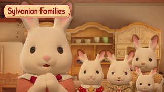 Everything is a Lesson 💞 Mini Episodes Season 4 Peony 1  Sylvanian Families [upl. by Triny]