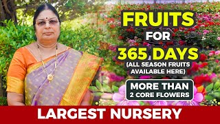 Largest Nursery Garden In Tamilnadu  Karuna Nursery [upl. by Allekim]