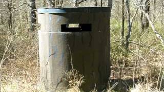 American Black Vulture quotBuzzardquot Eggs in a Deer Blind [upl. by Hasty826]