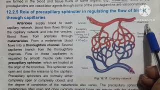 Role of arterioles in vasoconstriction and vasodilation precapillary sphincter [upl. by Torrlow]