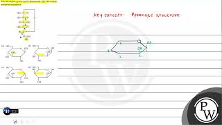 For the below given cyclic hemiacetal X the correct pyranose structure is X a c d [upl. by Maia]