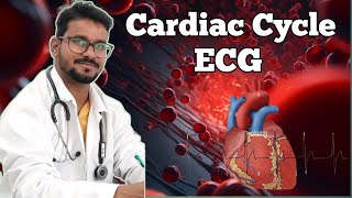 Body Fluids And Circulation  part 6 cardiac cycle  ECG  Final Biology Classes NEETncert [upl. by Demmahum]