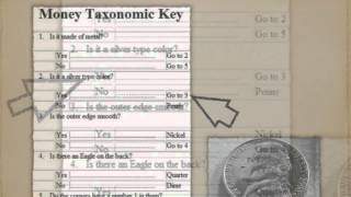 14 Dichotomous key  IGCSE BIOLOGY  httpswwwl2htuitioncom [upl. by Haramat]