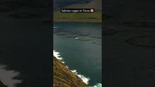 Salmon cage in the FaroeIslands djimavicair2 drone nordictravel faroe [upl. by Ahsenek]