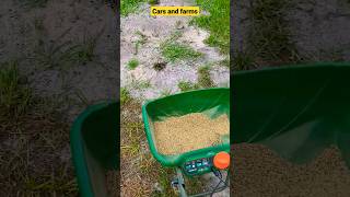 how to fix dead spot in your lawn lawn florida yard handcockseeds lawncare shorts bahai [upl. by Ddat984]