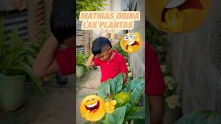 Mathias orina las plantas [upl. by Ysle]