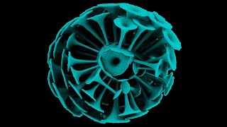 Chapter I  Episode IV  Biomineralization how coccoliths form and why this is key to NannoTalks [upl. by Eninej]