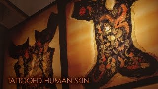 刺青の人体標本 Tattooed human skin [upl. by Nahbois]