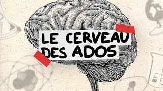 Le cerveau des ados expliqué en 3 minutes [upl. by Ardnasal]