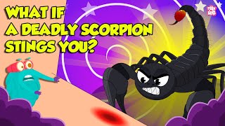 How Does Scorpion Sting  Scorpion Venom Effects  Most Deadliest Scorpions  Dr Binocs Show [upl. by Anelrad]