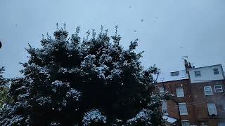 Snow Fall in Leamington Spa  19 Nov 2024 [upl. by Alegnad]