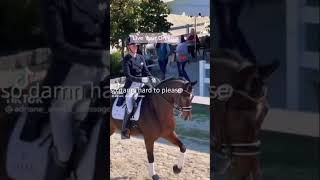 Show jumping vs Dressage 🐴💕 capcut dressage showjumping slowmo edit equestrian trending fy [upl. by Delos]