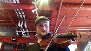 Raemonas Waltz  Day 115  366 Days of Fiddle Tunes [upl. by Krum]