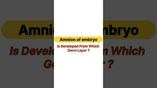 Amnion of Embryo is developed from which germ layer [upl. by Hamish752]