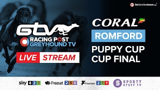 Coral Romford Puppy Cup Final  Live Greyhound Racing [upl. by Drawyeh]