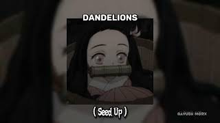 Dandelions ㅤ Speed Up Version [upl. by Chavez]