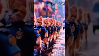 Cat lovers🐆🐆shorts catlover catvideos ytshorts [upl. by Chlori]