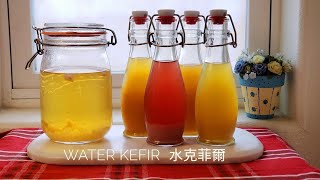 示範水克非爾簡單做法  How to make Water Kefir Probiotics [upl. by Asiulairam]