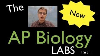 AP Biology Labs  part 1 [upl. by Modie]